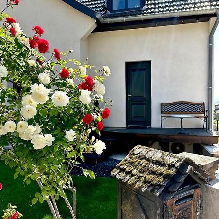 Apartmán L'Escale Riquewihr Exteriér fotografie